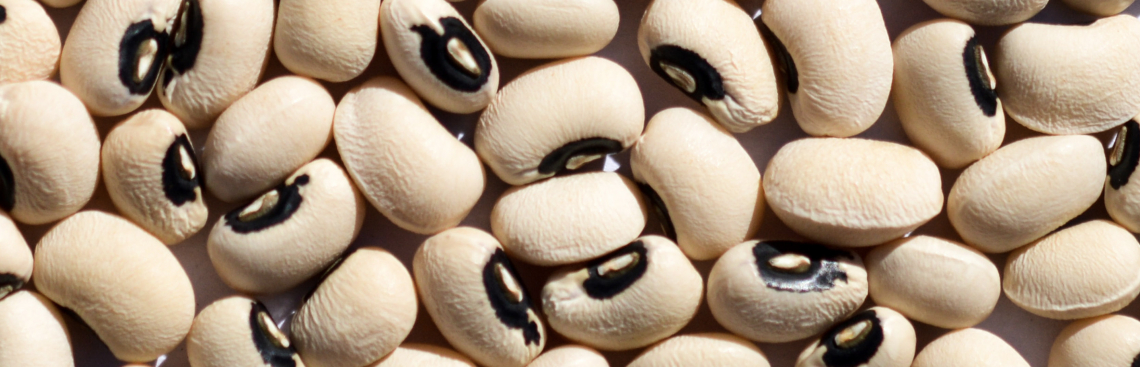 Brazilian Dry Beans