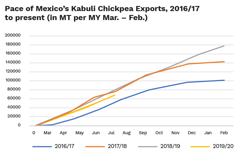Preview of Mexico’s Kabuli Chickpea Planting