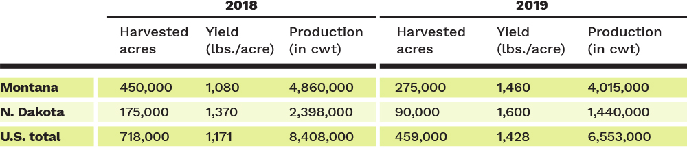 Lentil Area, Yield and Production