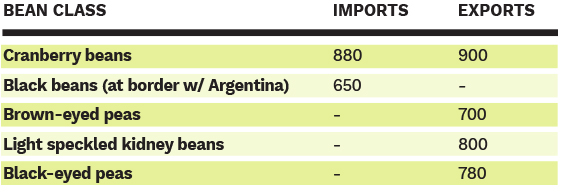 Brazil FOB Prices for Beans ($US per MT)