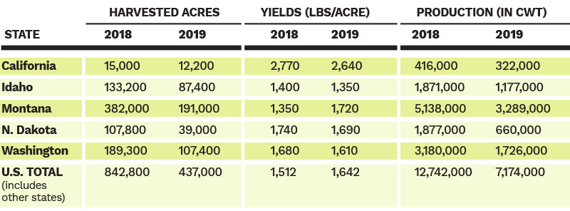 U.S. Chickpea Area, Yields and Production (2018 and 2019)