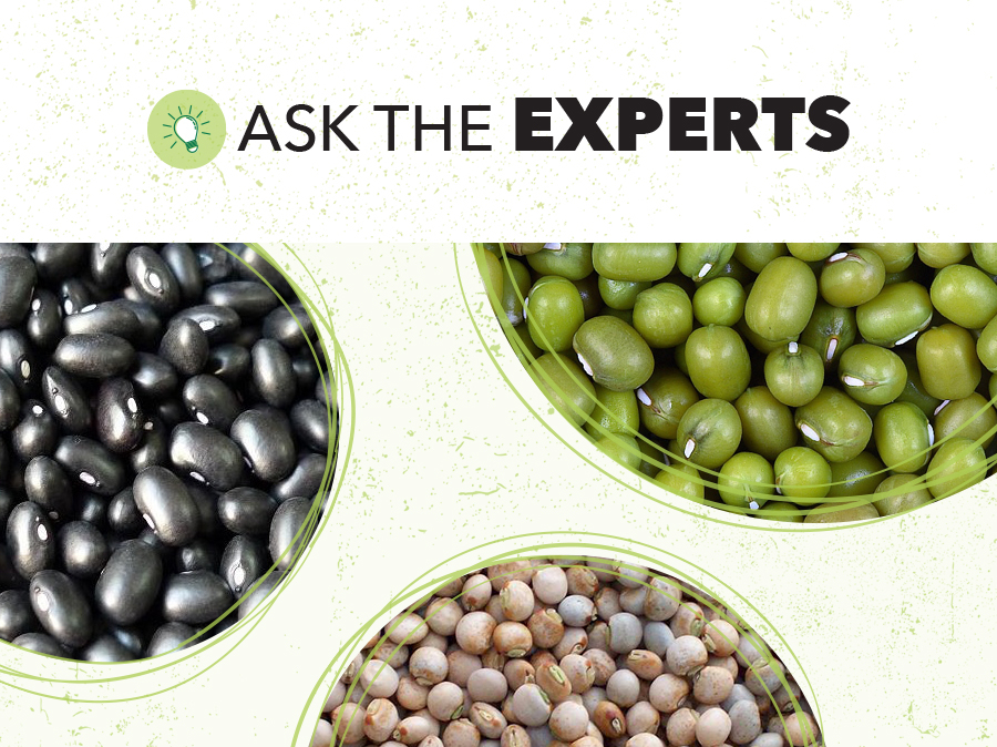 Ask The Experts Pulse Pod