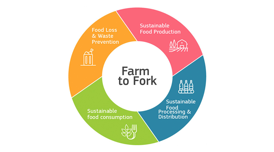 What the EU’s Farm to Fork Strategy Means for the Global Pulse Industry