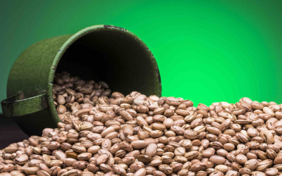 Brazil’s Second Dry Bean Crop Enters Market
