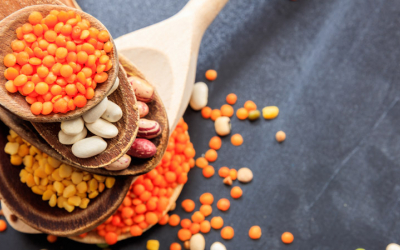 Pulses and Millet as Carriers of Nutrition
