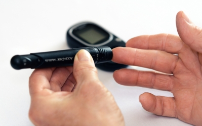 Pulses for a healthy life / The Impact of a Vegetarian Diet on Incidences of Diabetes