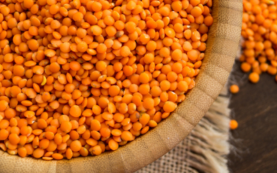 India Extends Warm Invitation to Red Lentil Exporters