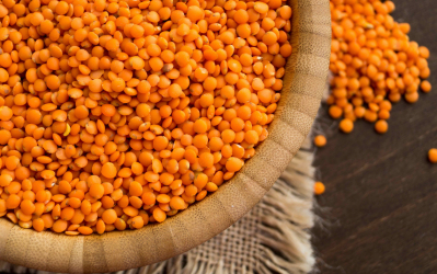 Weekly Update on India’s Lentil Market