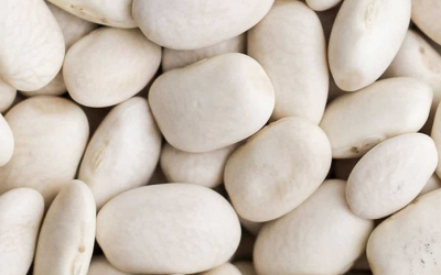 White Beans Global Outlook at Pulses 2.0