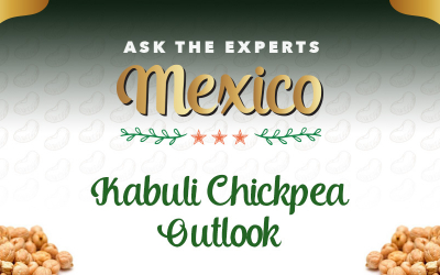 GPC Ask the Experts Mexico: Kabuli Chickpea Market Outlook