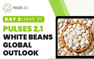 Pulses 2.1: White Beans Global Outlook