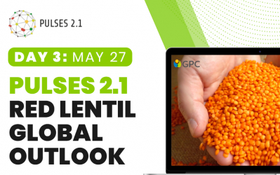 Pulses 2.1: Red Lentil Global Outlook