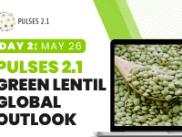 Pulses 2.1: Green Lentil Global Outlook