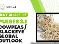 Pulses 2.1: Cowpeas / Blackeye Global Outlook