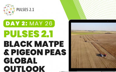 Pulses 2.1: Black Matpe & Pigeon Peas Global Outlook