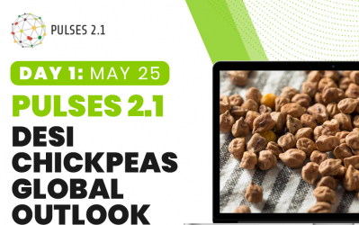 Pulses 2.1: Desi Chickpeas Global Outlook