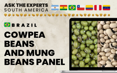 Brazil Cowpea Beans and Mung Beans Panel at Ask the Experts: South America