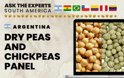 Argentina Dry Peas and Chickpeas Panel at Ask the Experts: South America