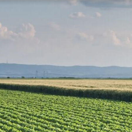 Innovation in the industry: Innovation in the industry / USDBC'S Rebecca Bratter on change, trends and success