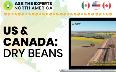 Ask the Experts North America: USA & Canada Dry Beans