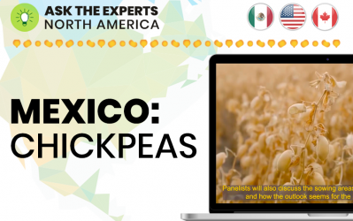 Ask the Experts North America: Mexico Chickpeas