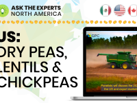 Ask the Experts North America: USA Dry Peas, Lentils & Chickpeas