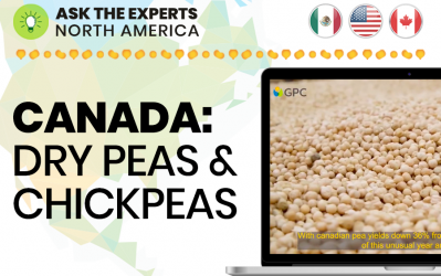 Ask the Experts North America: Canada Dry Peas & Chickpeas