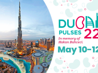 Pulses 22 Rescheduled for May 10-12, 2022