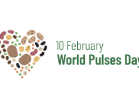 Empowering the youth this World Pulses Day 2022
