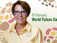 UN FAO World Pulses Day webinar coverage