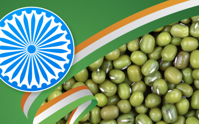 Permission for import of moong with advance contract with certain conditions