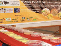 Resilient Tanzania defies the pandemic, tops pulses exports