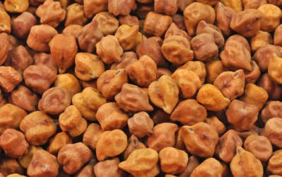 Weekly Update on India’s Chana (Gram) Market (Feb 28 - March 5, 2022)