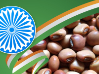 Indian government opens import of tuar and urad until March 31, 2023