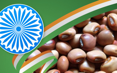 Indian government opens import of tuar and urad until March 31, 2023