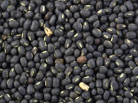 Weekly Update on India’s Urad Market (March 21-26, 2022)