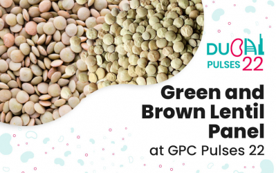 Green and Brown Lentil Panel at GPC Pulses 22