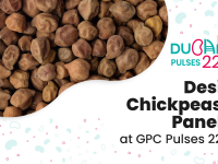 Desi Chickpeas Panel  at GPC Pulses 22