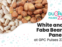 White and Faba Bean Panel at GPC Pulses 22