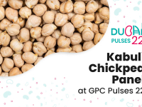 Kabuli Chickpea Panel at GPC Pulses 22