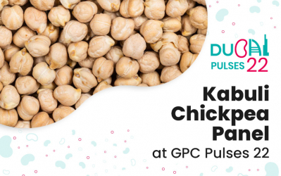 GPC Pulses 22: Kabuli Chickpea panel