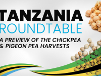 GPC Tanzania Roundtable