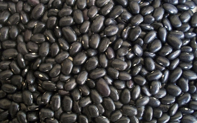 A study in home comforts: the curious link between Venezuelan immigration & black bean consumption