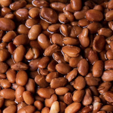 Has domestic demand for pinto beans risen in the USA?: Has domestic demand for pinto beans risen in the USA?: Industry experts weigh in on the perceived increase