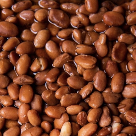 Has domestic demand for pinto beans risen in the USA?: Has domestic demand for pinto beans risen in the USA? / Industry experts weigh in on the perceived increase